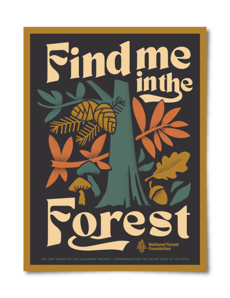Find Me in the Forest Poster – The Landmark Project Find Me in the Forest Poster – The Landmark Project