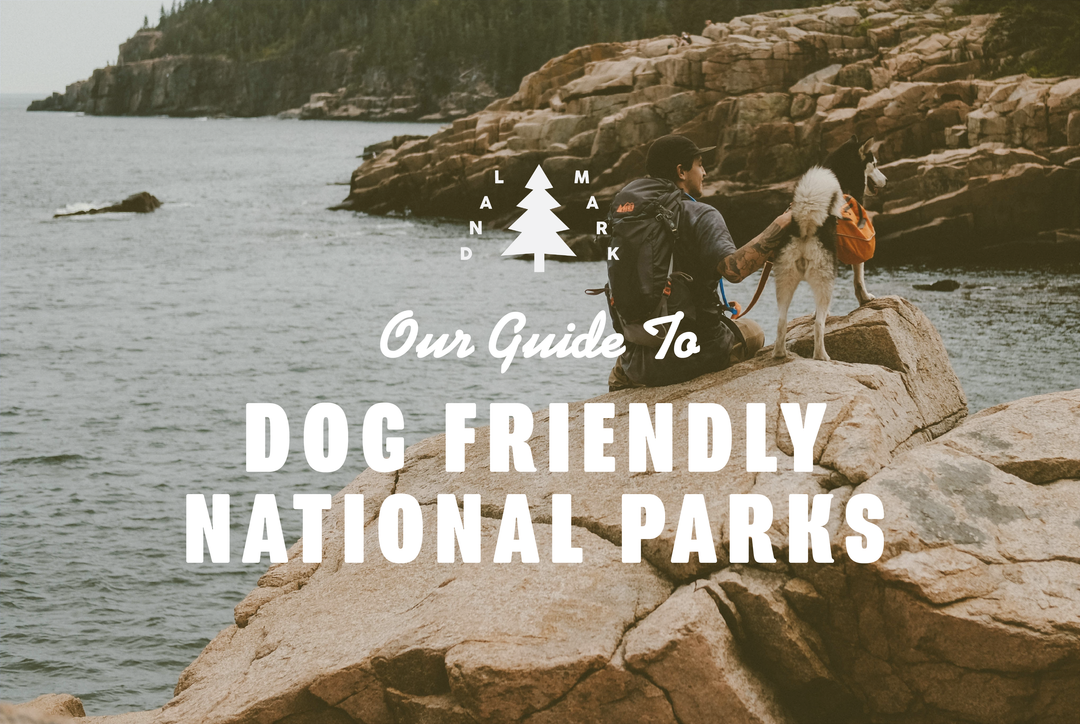 Landmark’s Guide to Dog Friendly National Parks