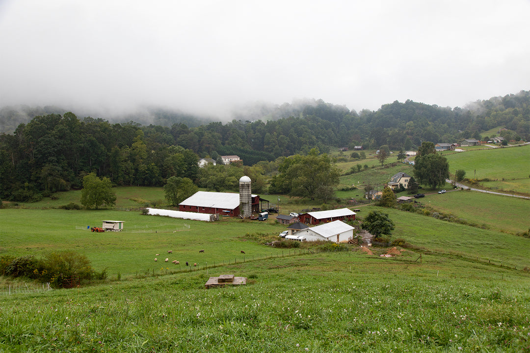 The Landmark Project Visits Mount Gilead Farm