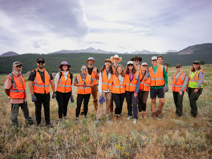 Group of Volunteers in Rocky Mountain National Park