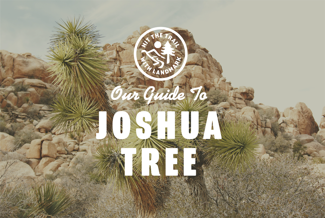 Hit the Trail with Landmark: Joshua Tree National Park