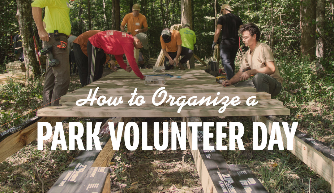 How to Organize a Park Volunteer Day