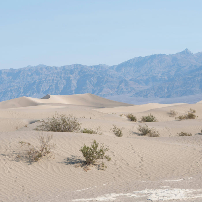 Discover California’s Death Valley National Park in the winter with a travel guide from The Landmark Project.