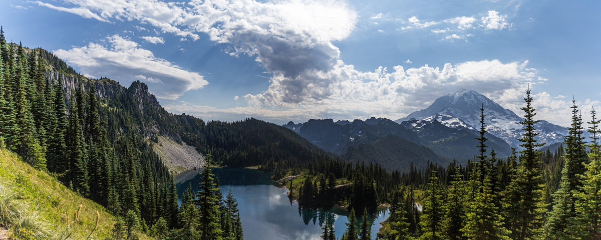 View of Mount Rainier National Park