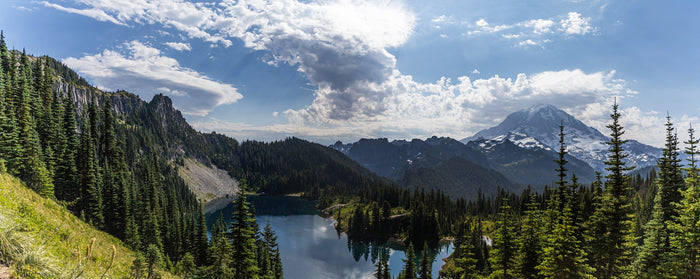 View of Mount Rainier National Park