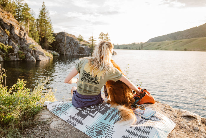 Celebrate National Forest Week with the Landmark Project.