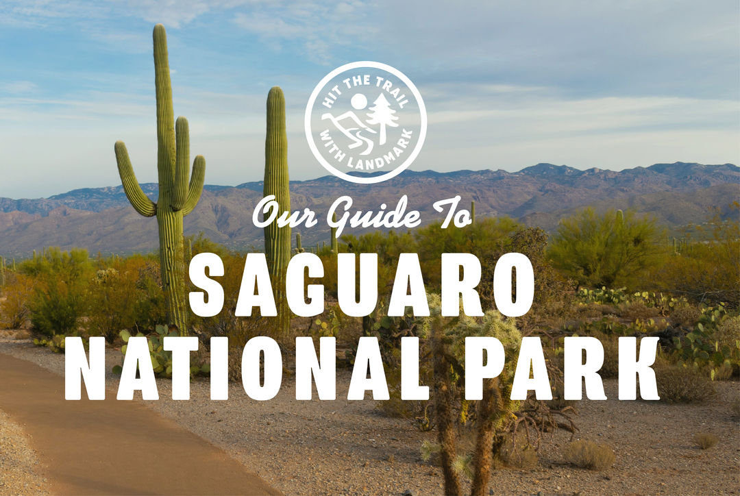 Hit the Trail with Landmark - One Day at Saguaro National Park