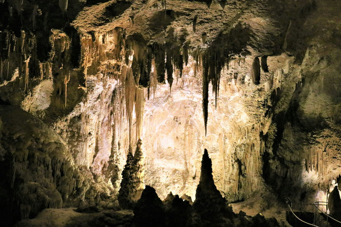 Spend a day at Carlsbad Caverns National Park with the Landmark Project’s travel guide.