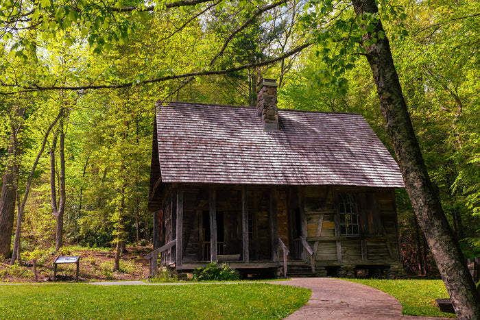 The Landmark Project helped protect the historical buildings of the Cradle of Forestry from wildfires to preserve the birthplace of forestry education.