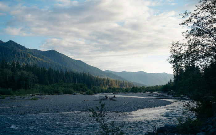 Olympic National Park