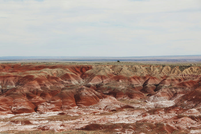 Discover ancient fossils, petroglyphs, and petrified wood as smooth as glass with The Landmark Project’s guide to Petrified Forest National Park.
