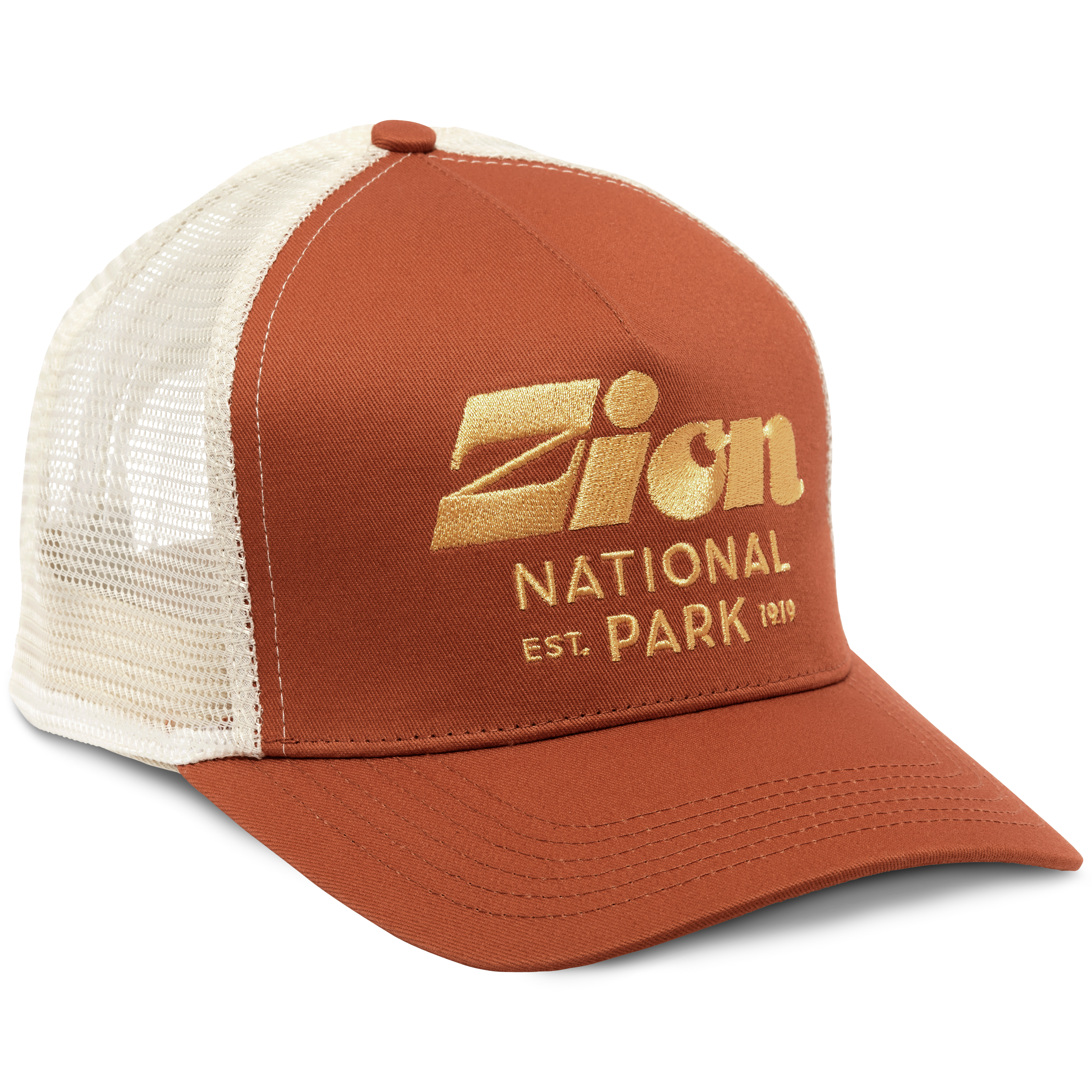 nike zion hat