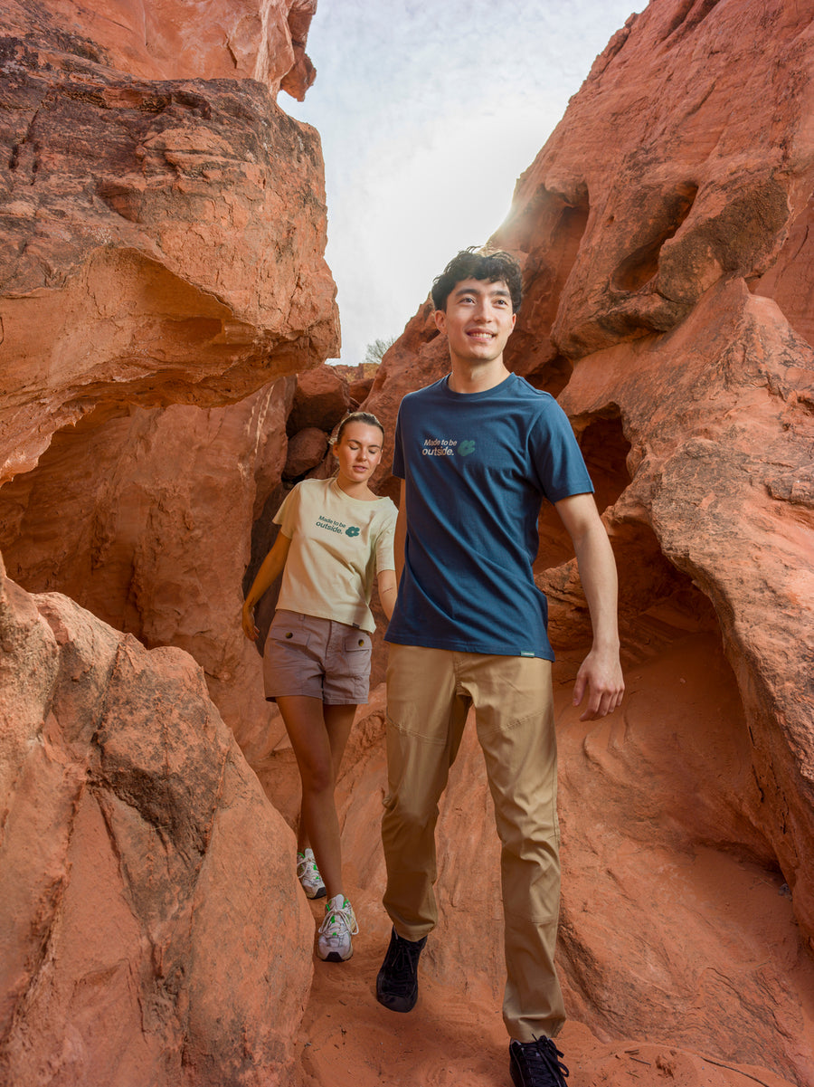 National Park Tees, Posters, & Gifts From The Landmark Project