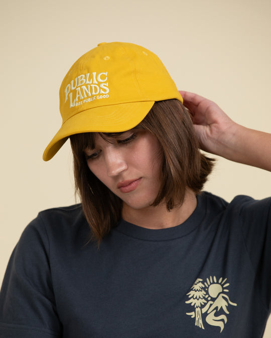 Public Lands Dad Hat Hat