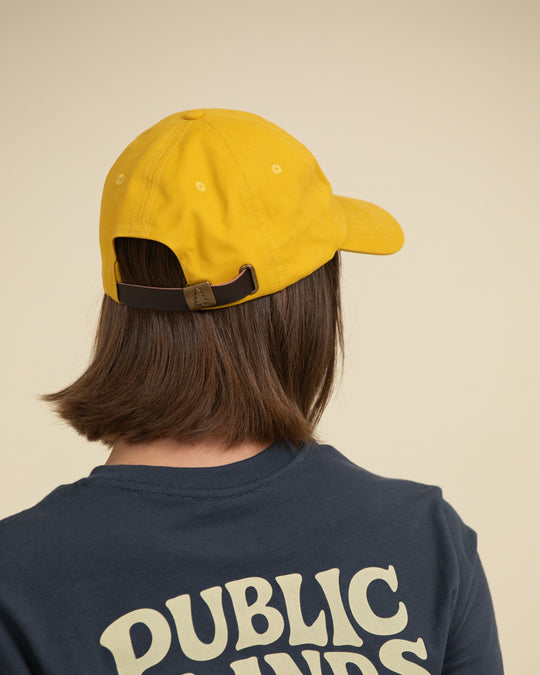 Public Lands Dad Hat Hat
