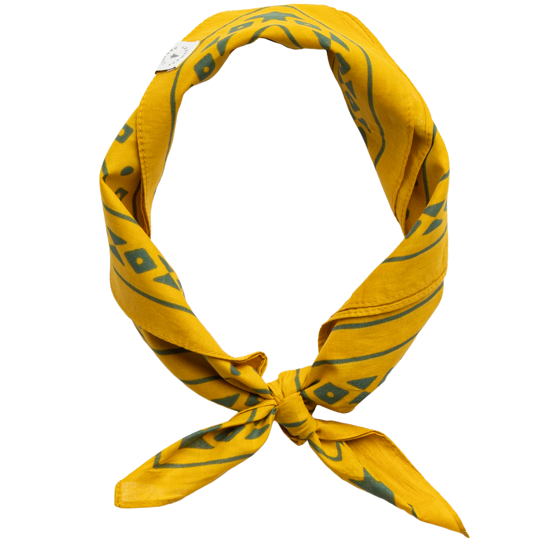 Smokey Bear Bandana Bandana