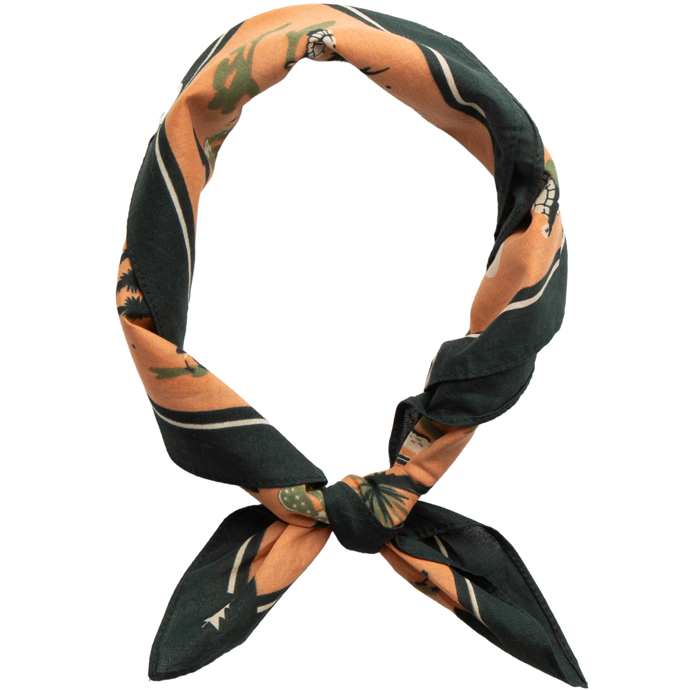 Desert Dwellers Bandana Bandana