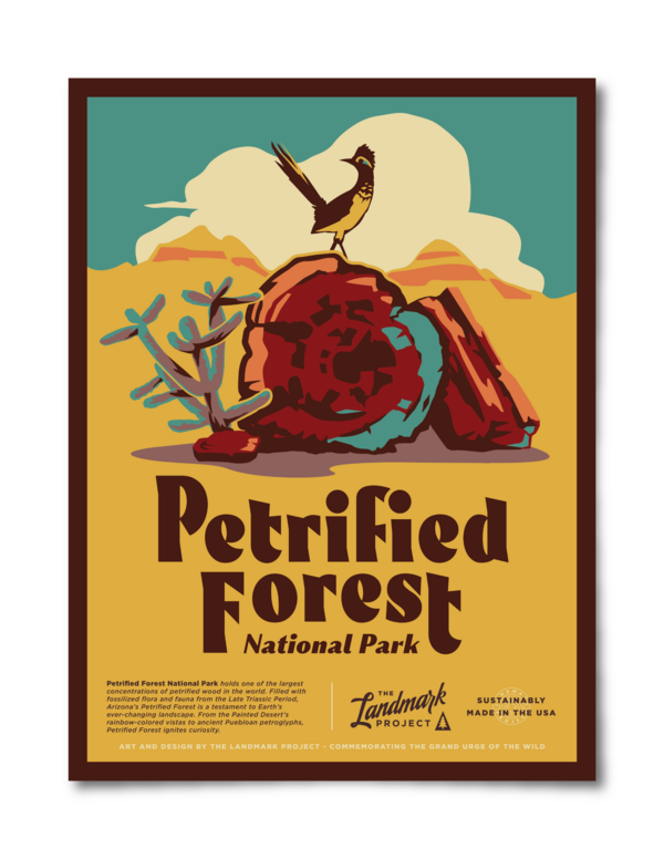 Petrified Forest National Park Poster Poster 12x16 