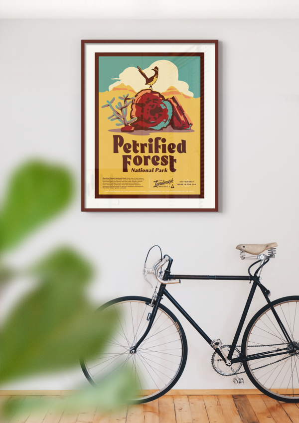 Petrified Forest National Park Poster Poster  