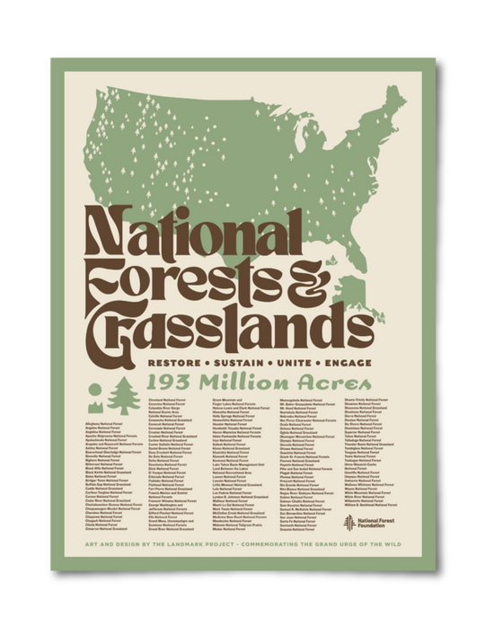 National Forests and Grasslands Poster Paper Goods 12x16 