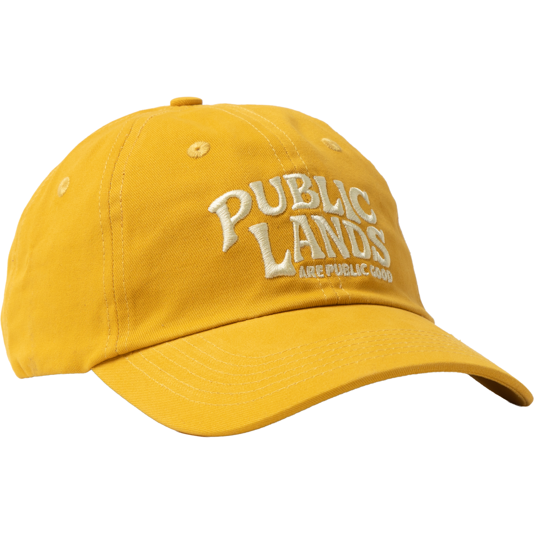 Public Lands Dad Hat Hat Goldrush