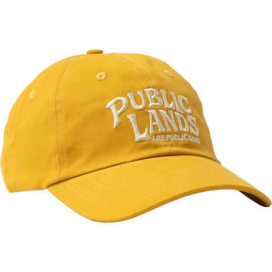 Public Lands Dad Hat Hat Goldrush