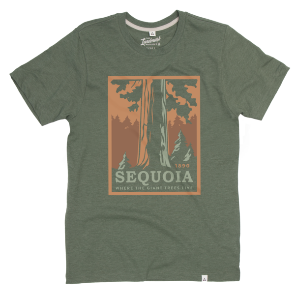 Sequoia National Park Tee Short Sleeve Conifer XS