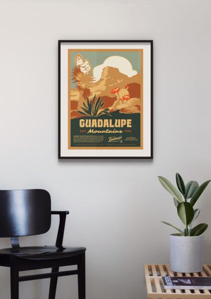 Guadalupe Mountains National Park poster Poster  