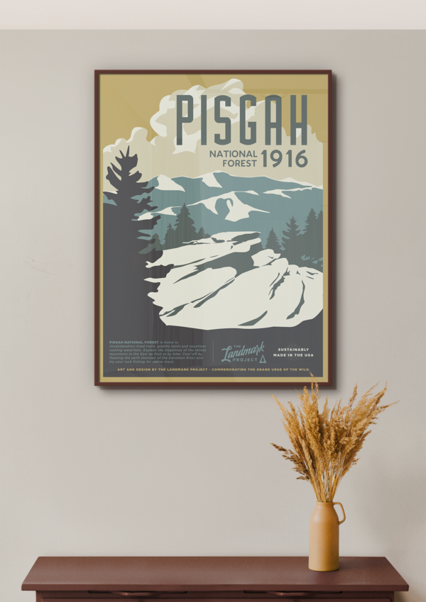 Pisgah National Forest Poster Poster  