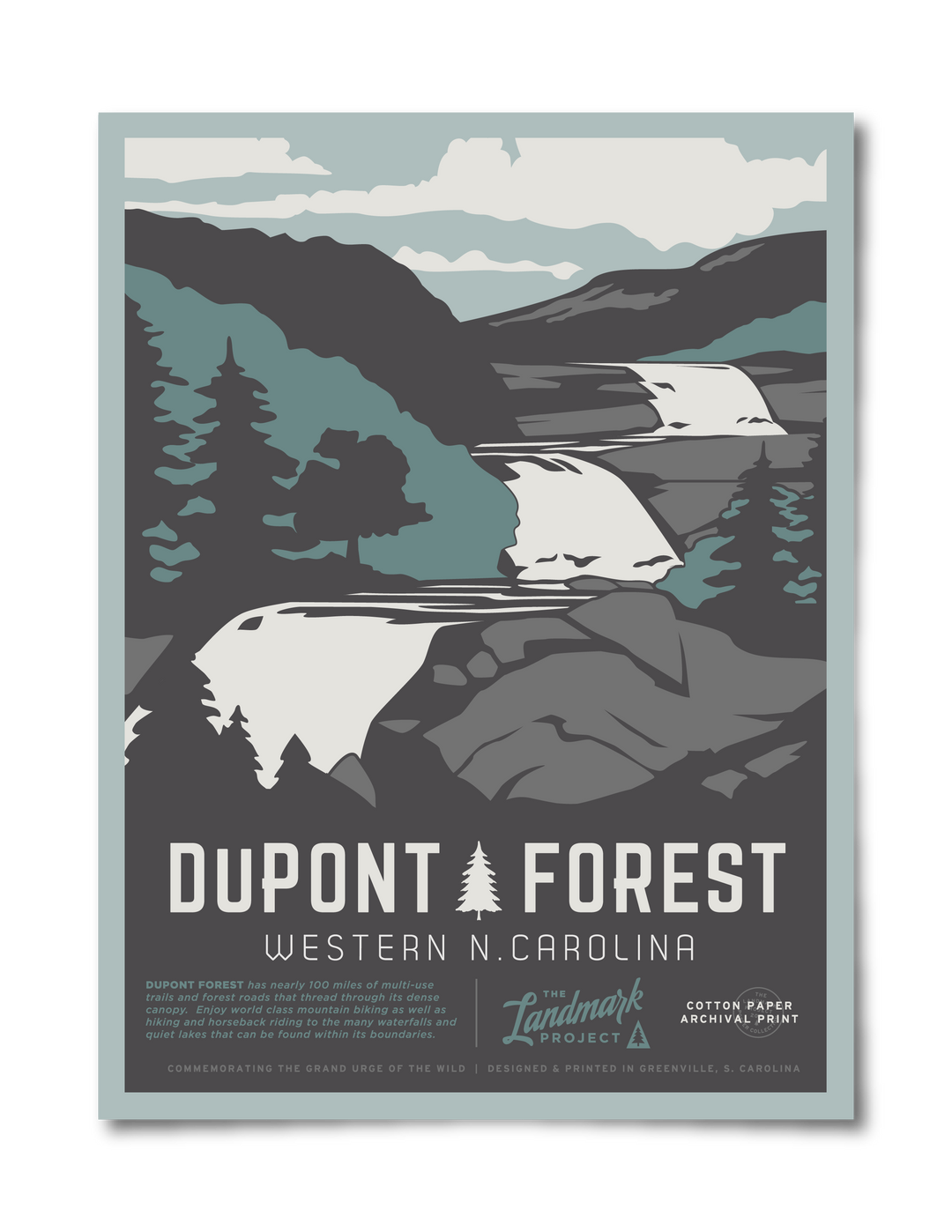 Dupont State Forest Poster Poster  