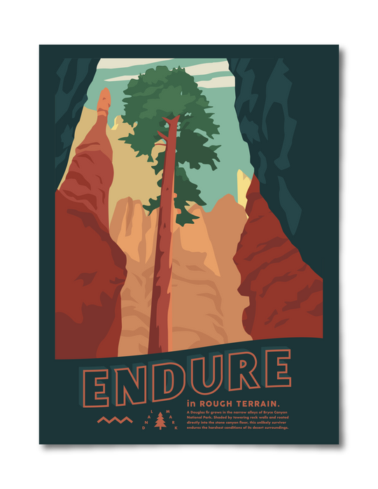 Endure Rough Terrain Poster Poster 12x16 