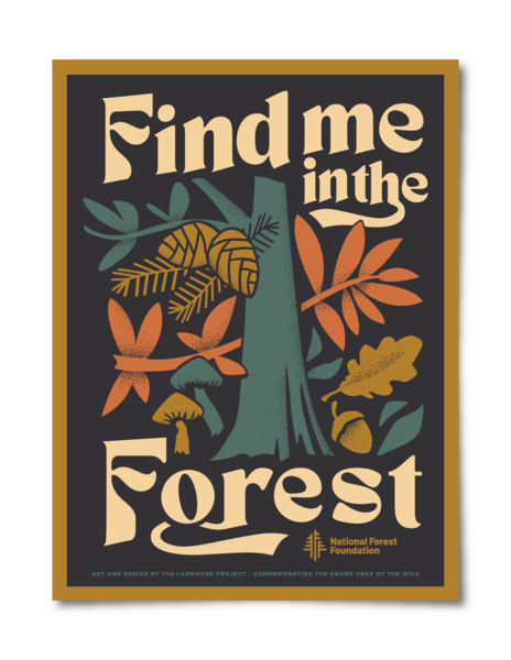 Find Me in the Forest Poster Poster 12x16 