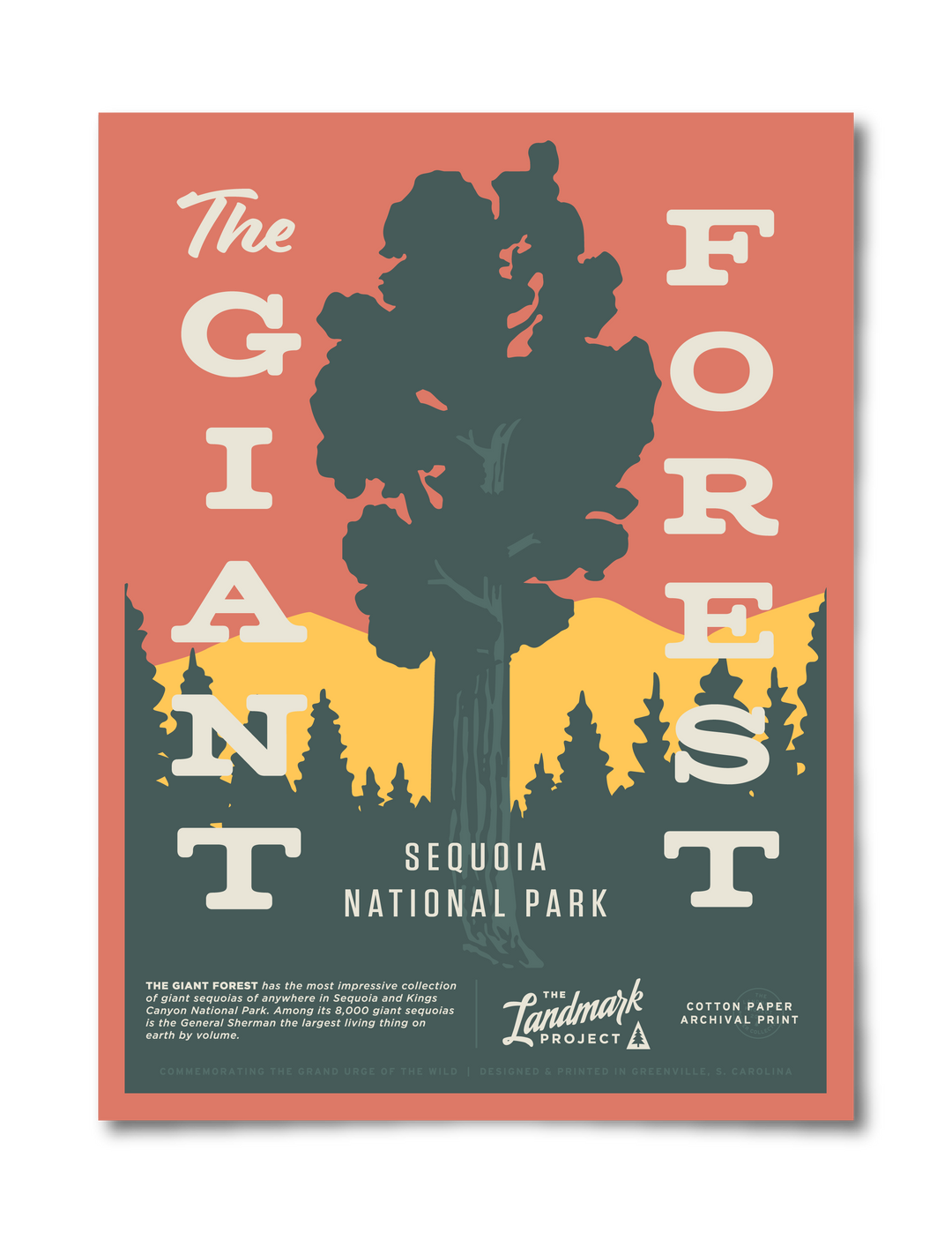 Giant Forest Poster Poster  