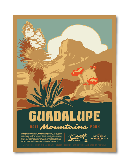Guadalupe Mountains National Park poster Poster 12x16 