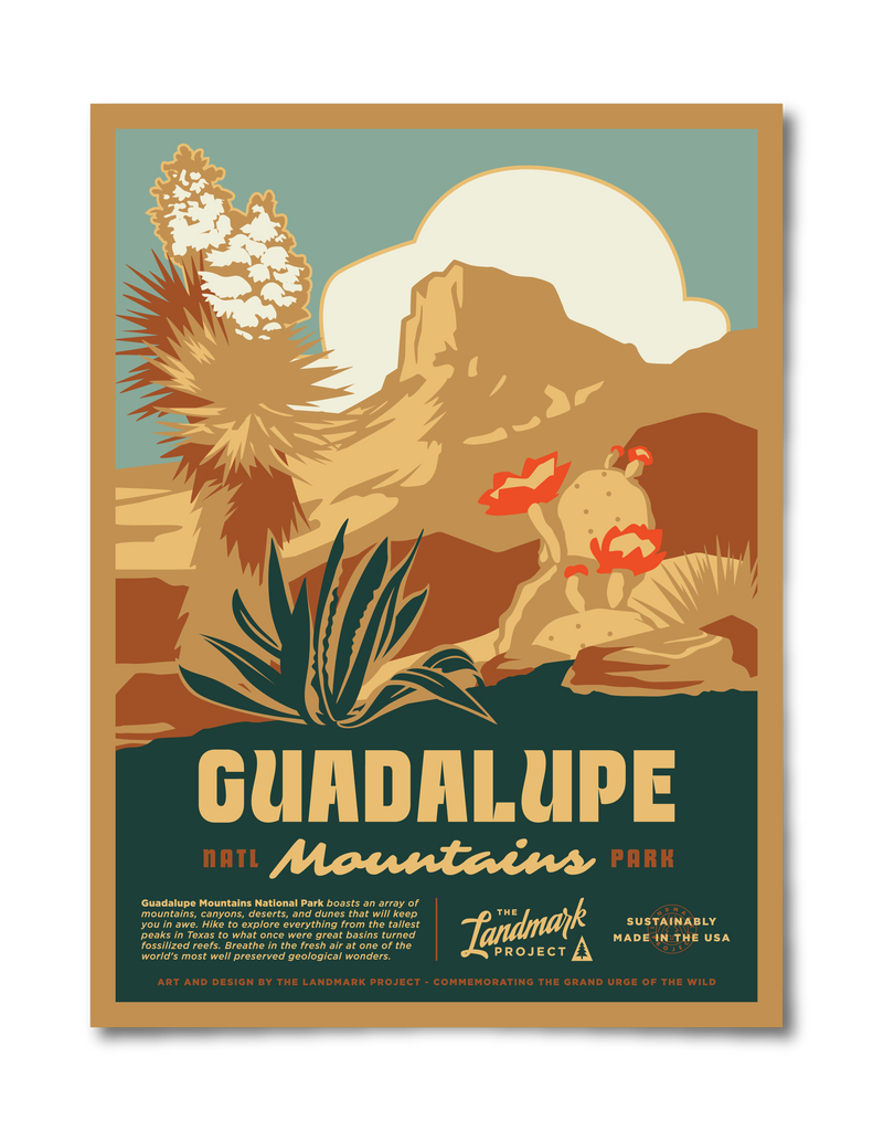 Guadalupe Mountains National Park poster