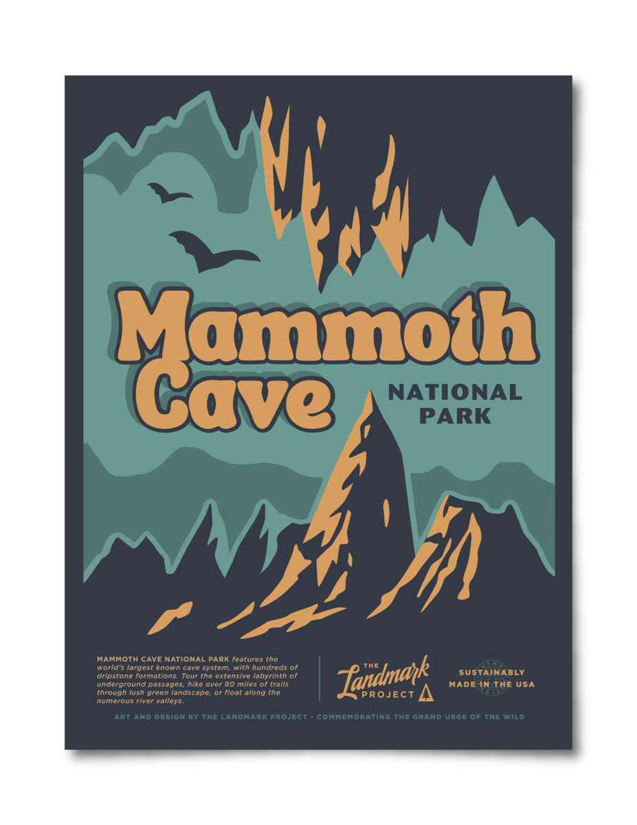 Mammoth Cave National Park Poster Poster  