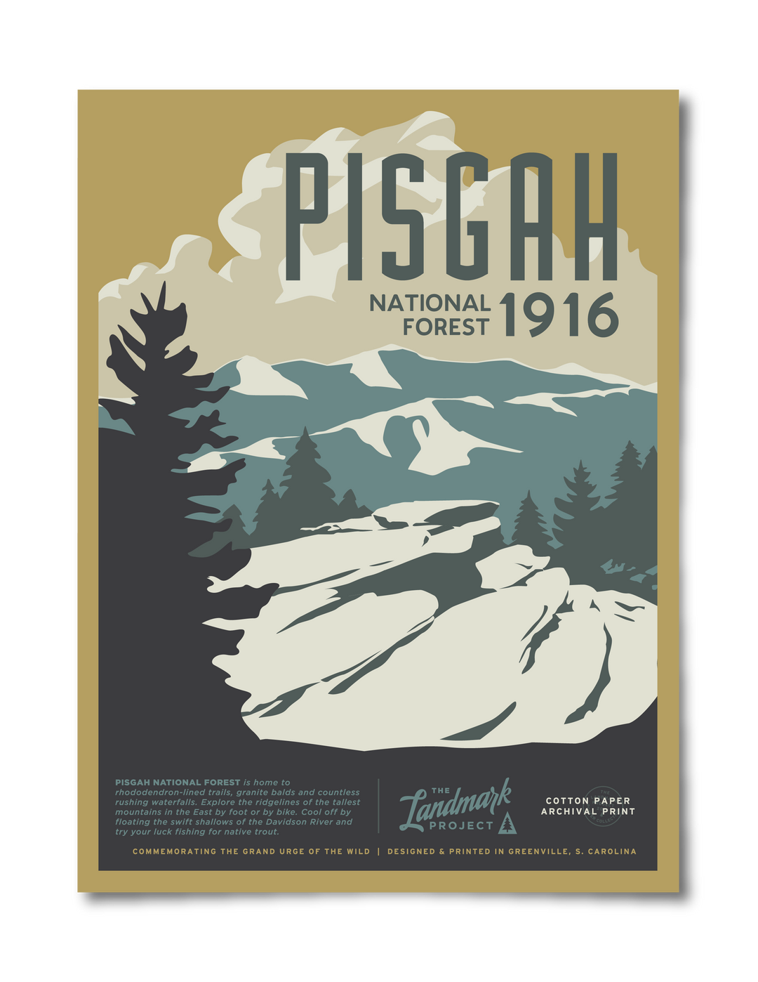 Pisgah National Forest Poster Poster 12" x 16" 