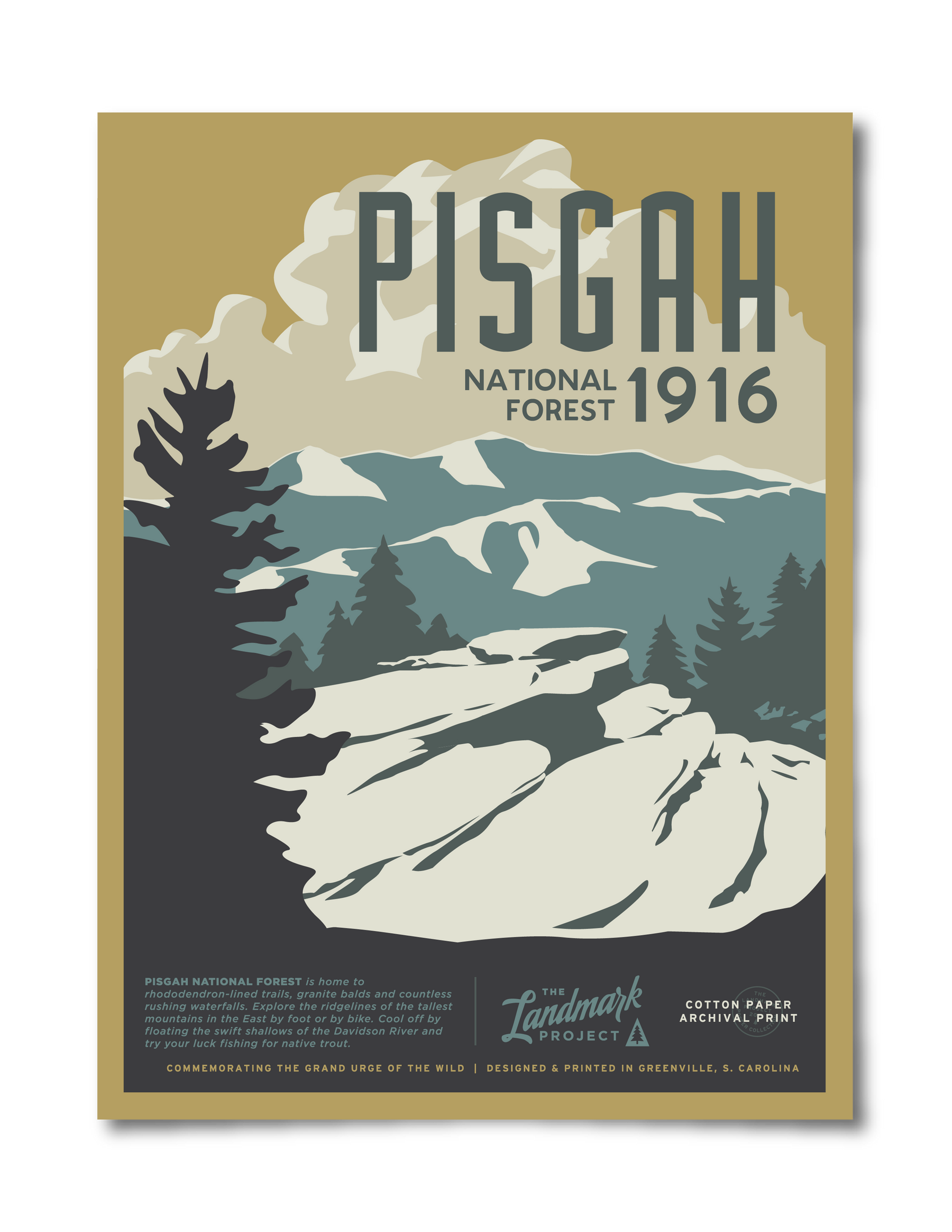 Pisgah National Forest Poster The Landmark Project