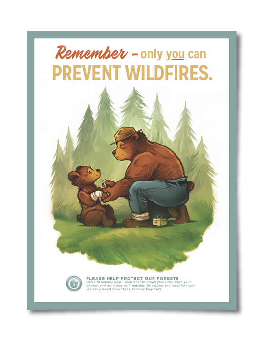 Prevent Wildfires Poster Poster  