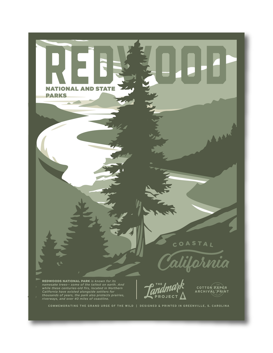 Redwood National Park Poster Poster  