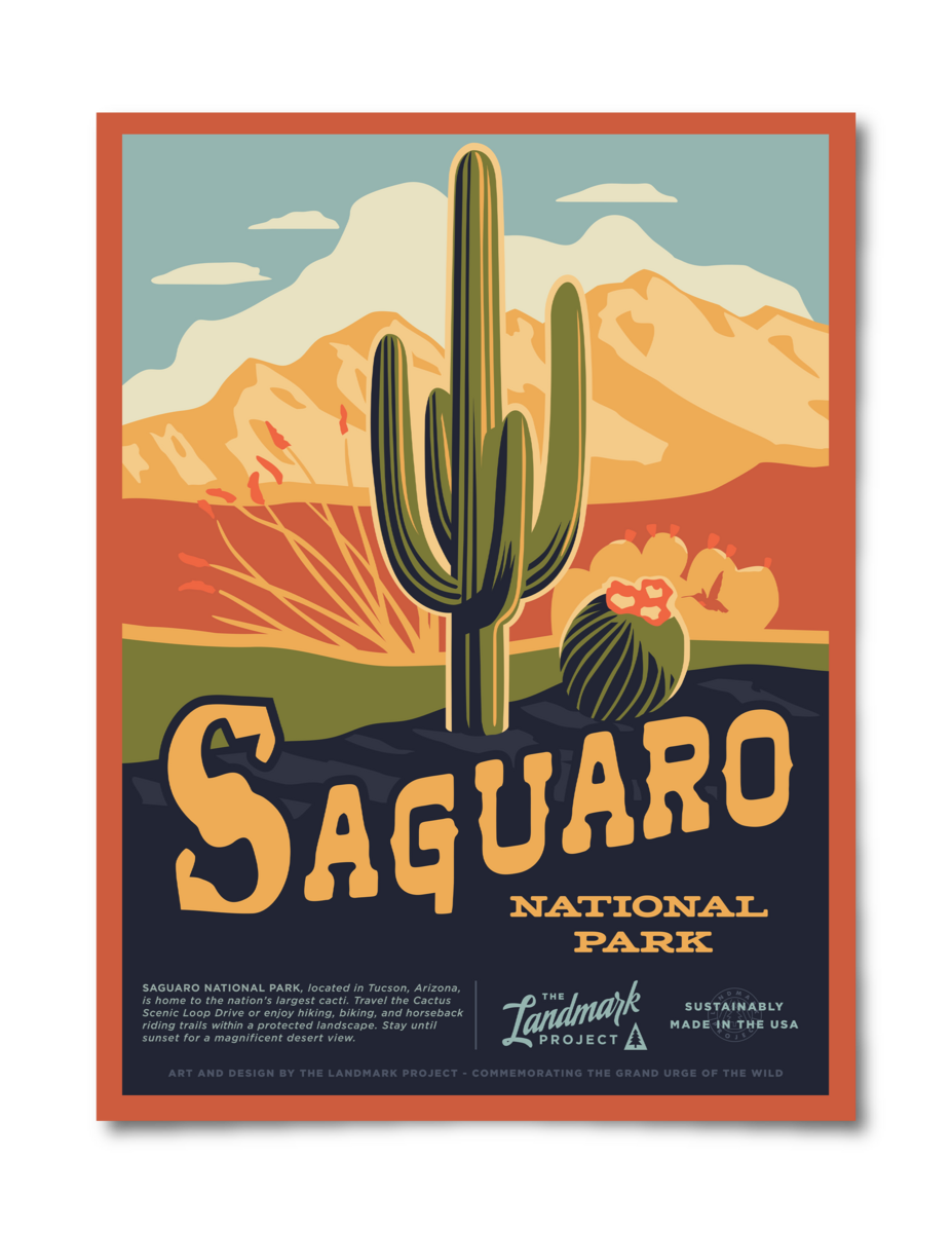 Saguaro National Park