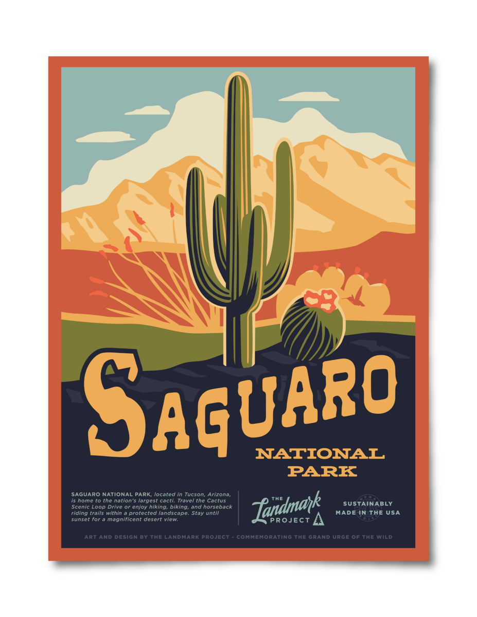 Saguaro National Park Poster Poster  