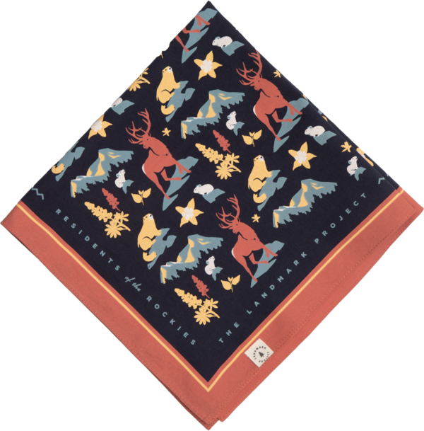 Project 2024 rock bandana